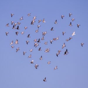 Eine Angst auflösen!