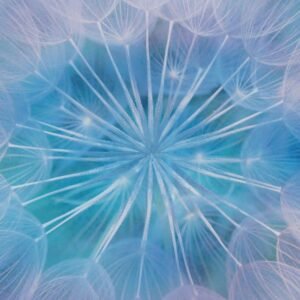 Heile und stärke dein Urvertrauen!