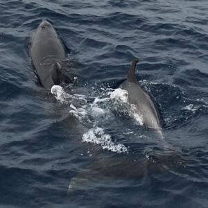 Entdecke dein Intuitionszimmer!