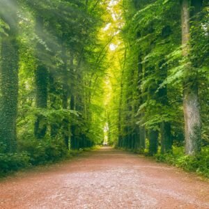 Heilende Geh-Meditation: Verbinde dich mit deiner Quelle und der besten Version deiner selbst